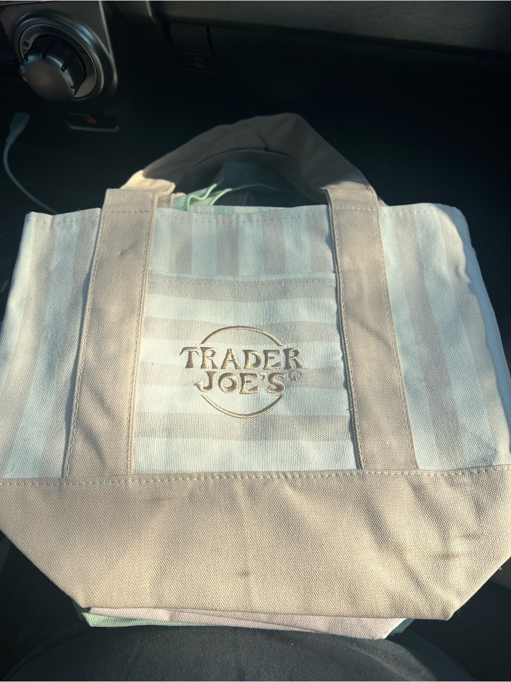 Trader Joe's Striped Canvas Mini Tote Bag in Beige and Cream NWT